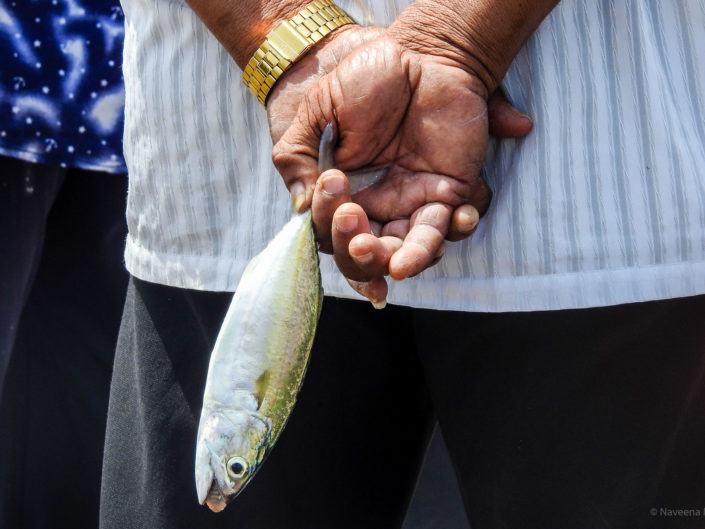 Fishy Tale